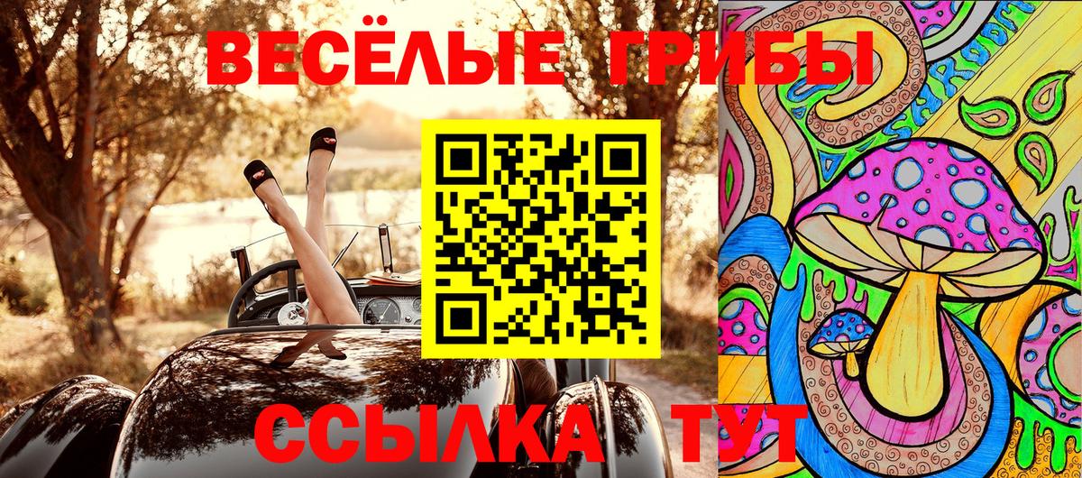 Галлюциногенные грибы мухоморы Сердобск
