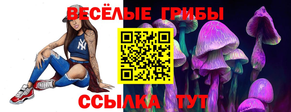 Псилоцибиновые грибы ЛСД  Вход с VPN  Сердобск 