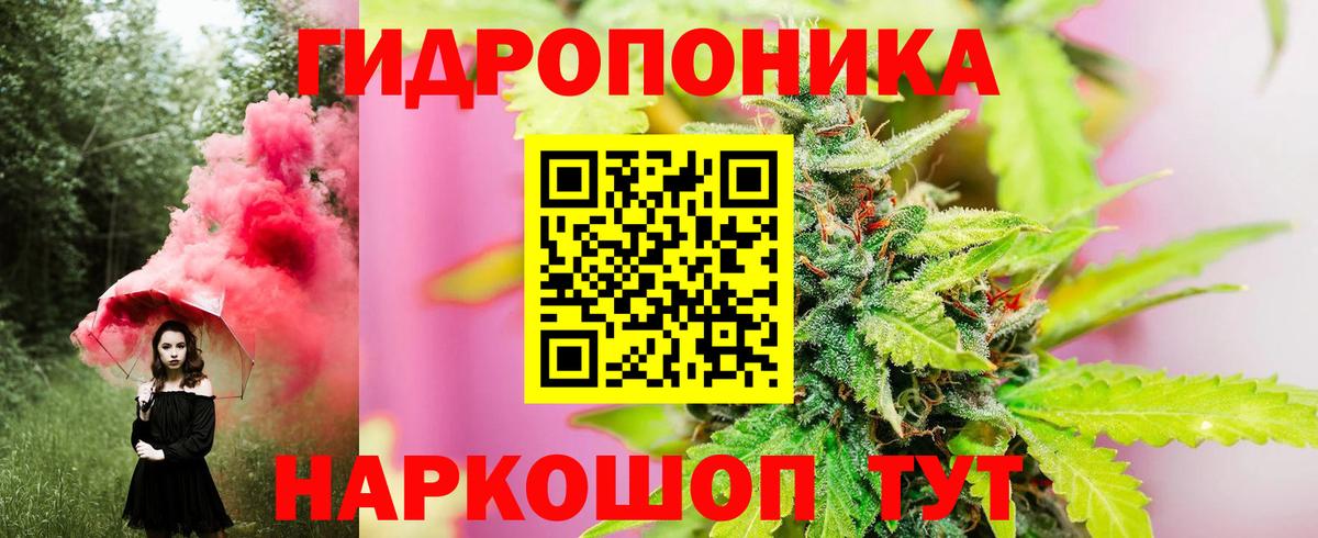 Шишки марихуана марихуана Сердобск